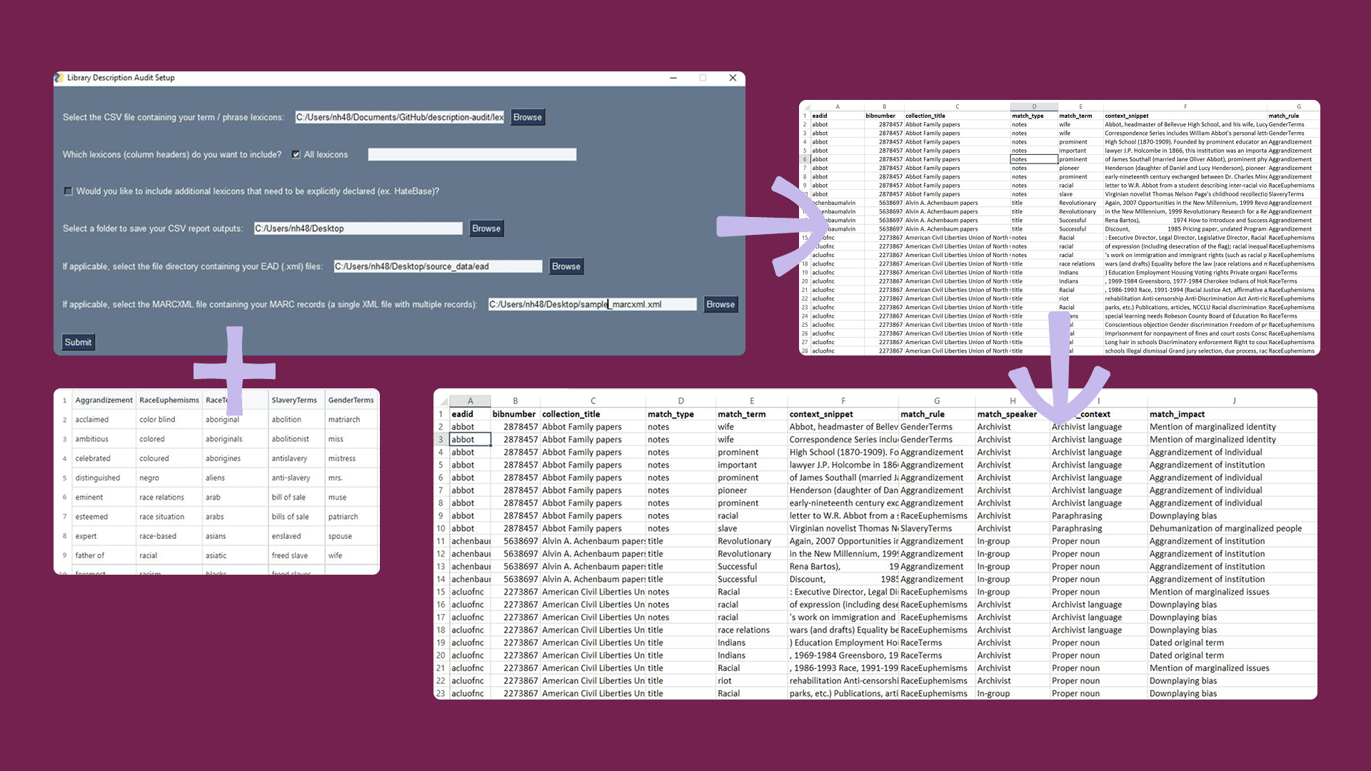 Description Audit Graphic